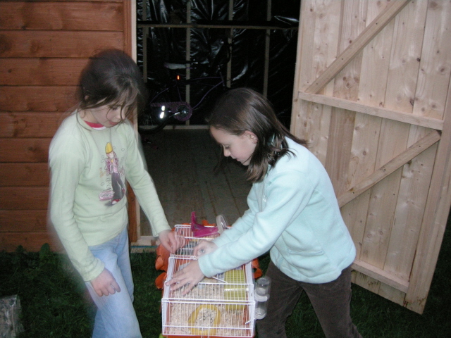 DSCN2241.jpg