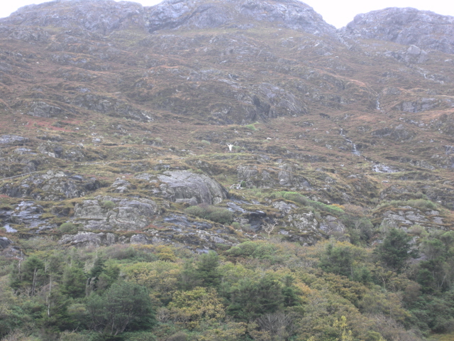 DSCN2582.jpg