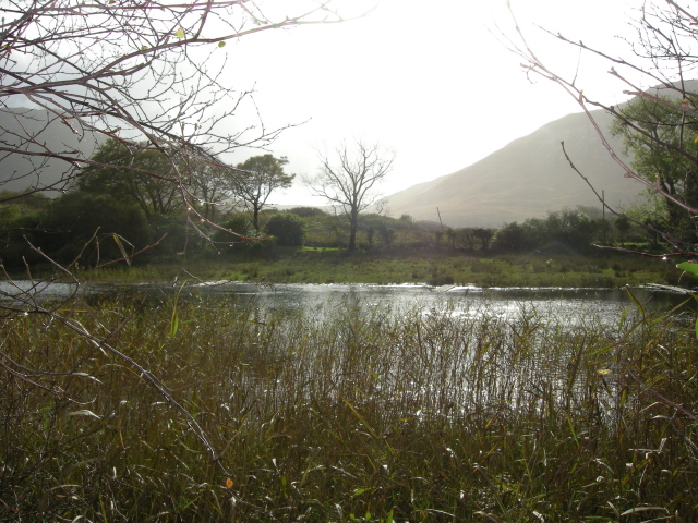 DSCN2629.jpg