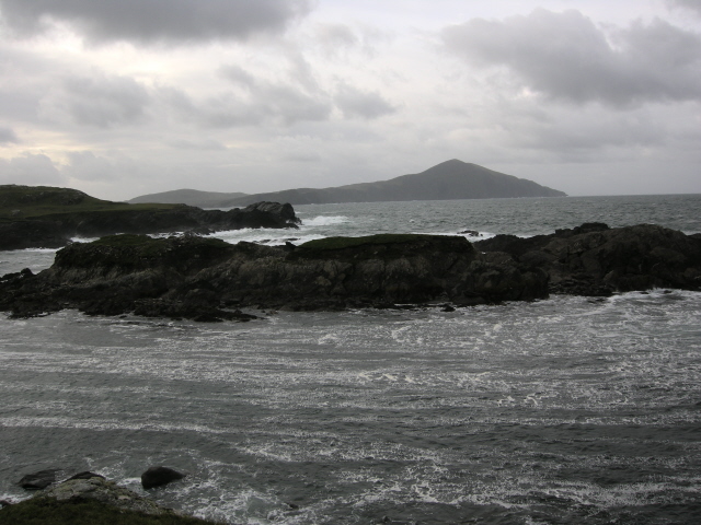 DSCN2742.jpg