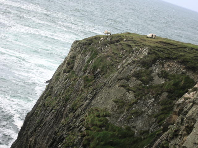 DSCN2745.jpg