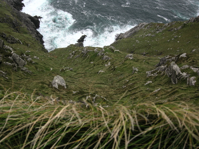 DSCN2761.jpg