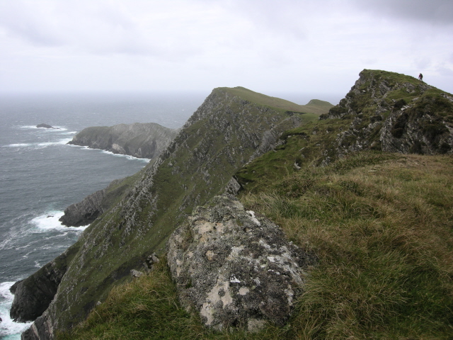 DSCN2767.jpg