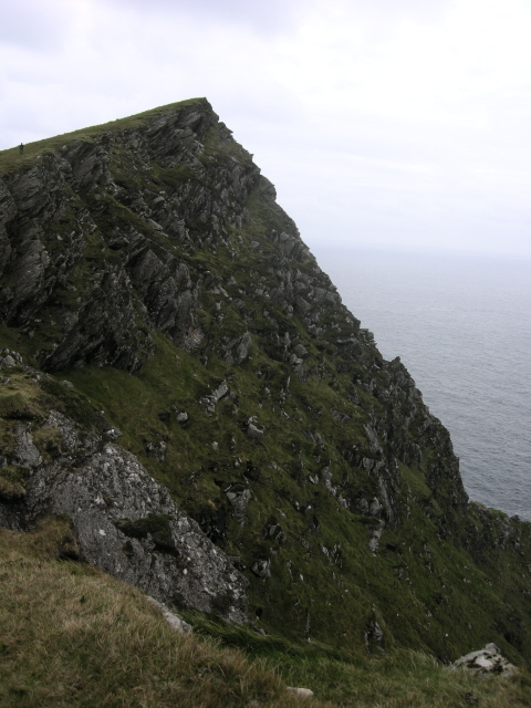 DSCN2770.jpg