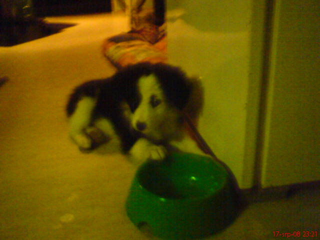 DSC00087.jpg
