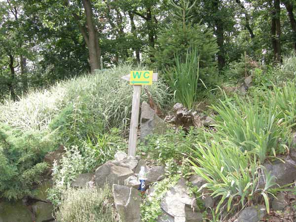DSCN0805.jpg