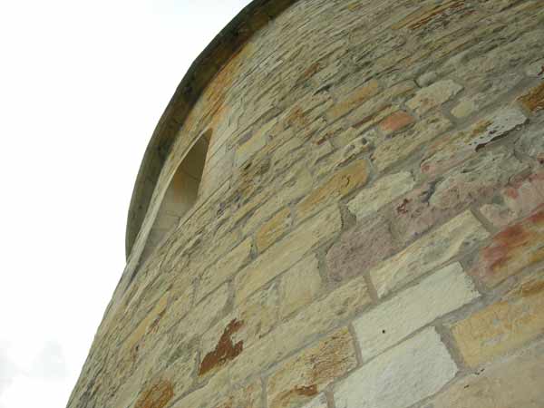 DSCN0809.jpg