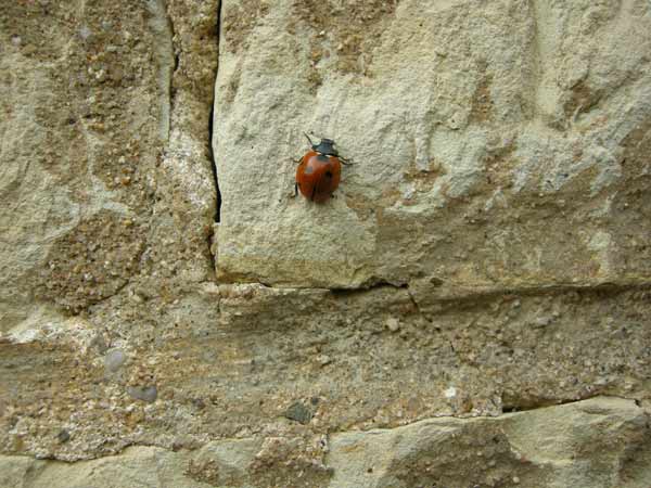 DSCN0808.jpg