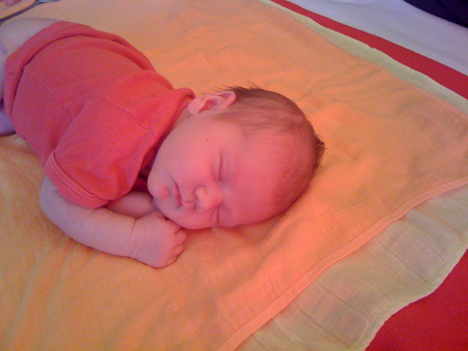 Snímek 057.jpg